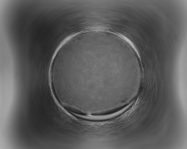 X0000097861389200803211245