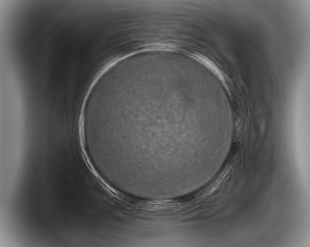 X0000097861391200803211245