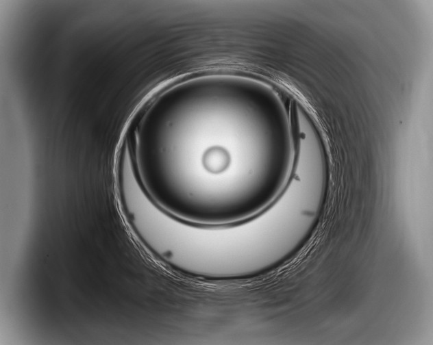 X0000097861392200803211245