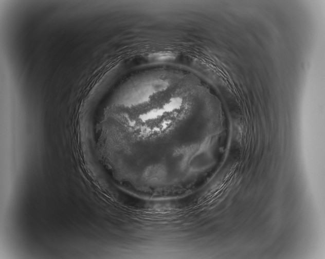 X0000097861393200803211245