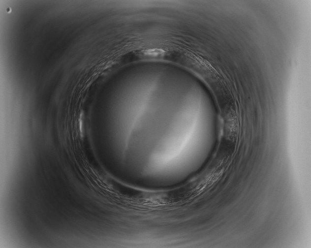 X0000097861394200803211245