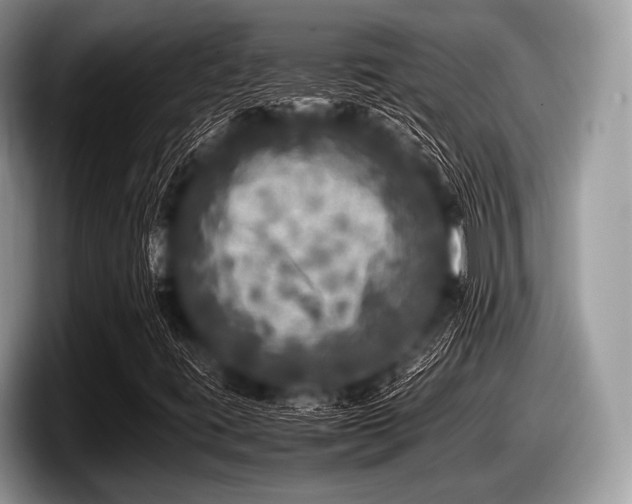 X0000097861395200803211245