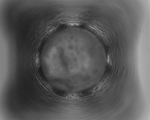 X0000097861396200803211245