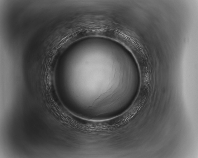 X0000097861397200803211245