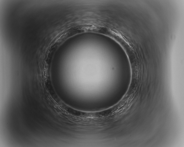 X0000097861399200803211245