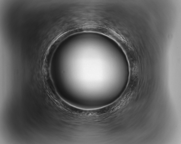 X0000097861400200803211245