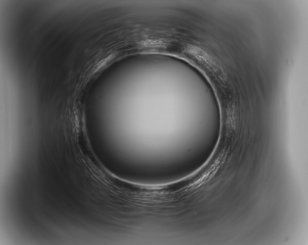 X0000097861401200803211245