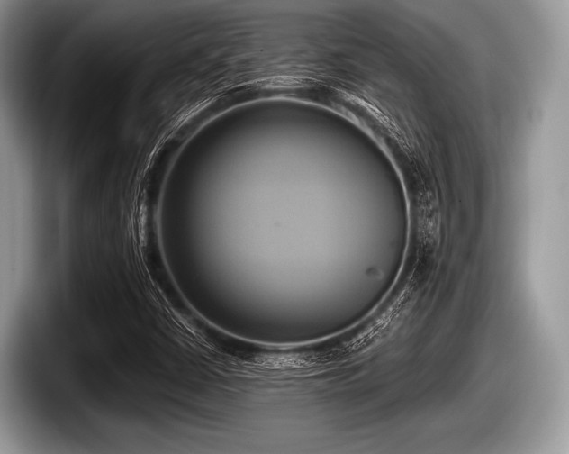 X0000097861402200803211245