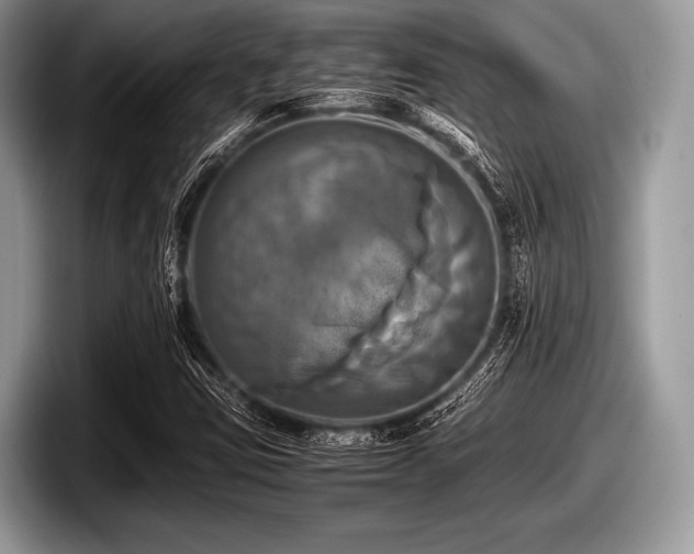 X0000097861403200803211245