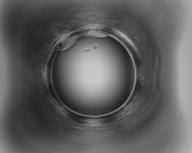 X0000097861404200803211245