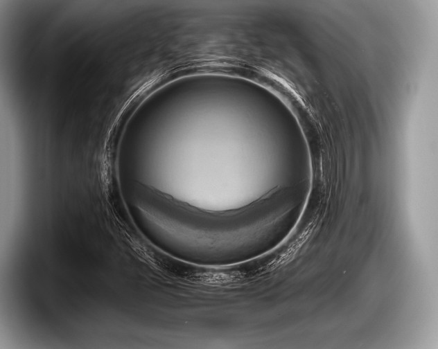 X0000097861405200803211245