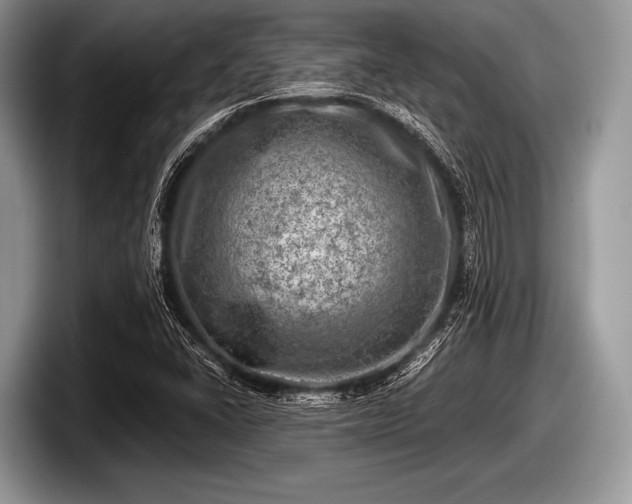 X0000097861406200803211245