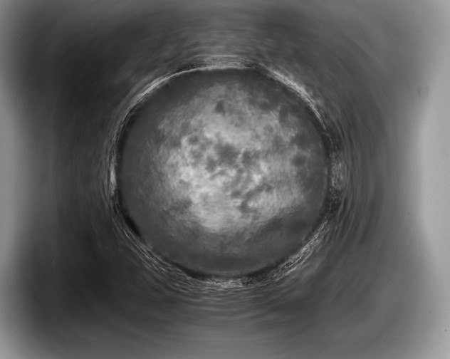 X0000097861407200803211245