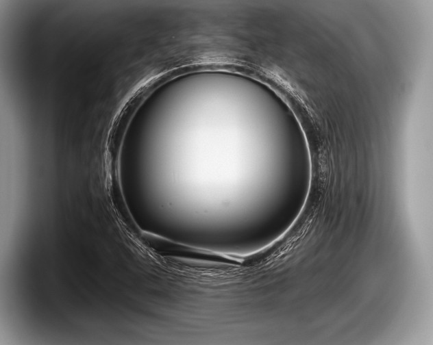 X0000097861408200803211245