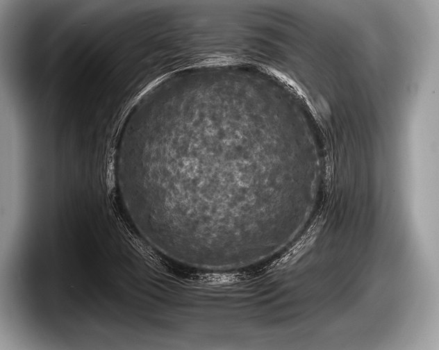 X0000097861409200803211245