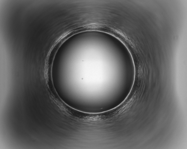 X0000097861410200803211245