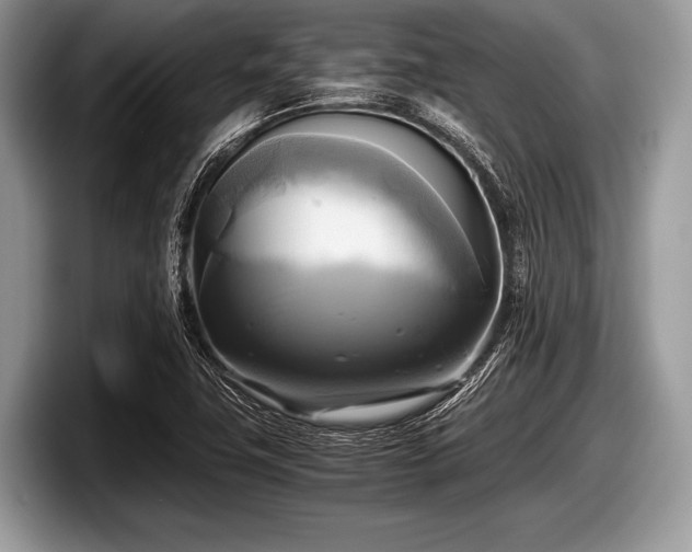 X0000097861411200803211245