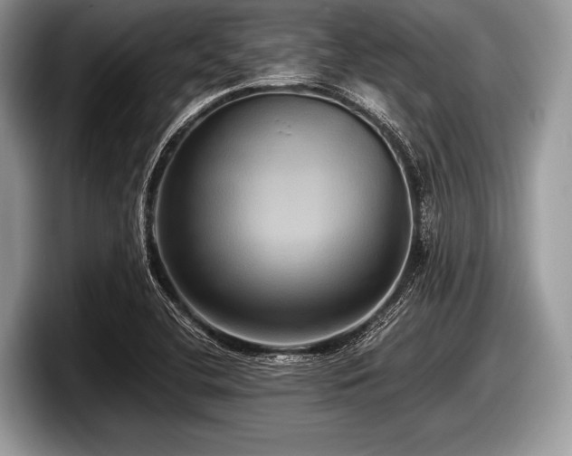 X0000097861412200803211245