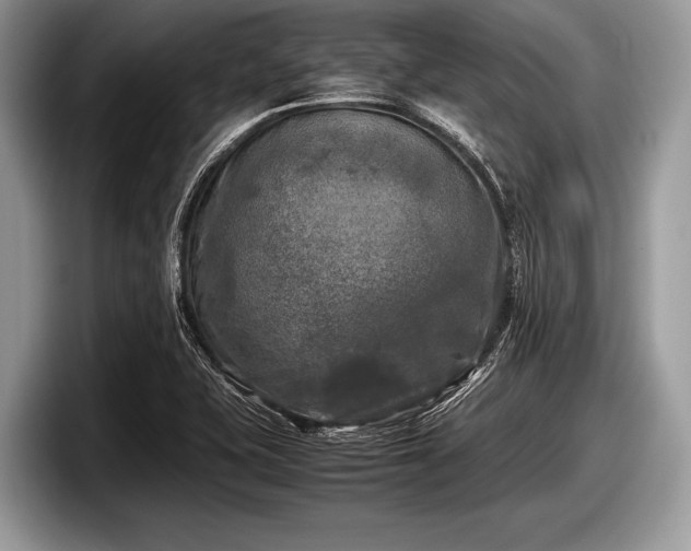 X0000097861415200803211245