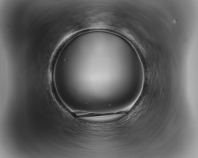 X0000097861416200803211245