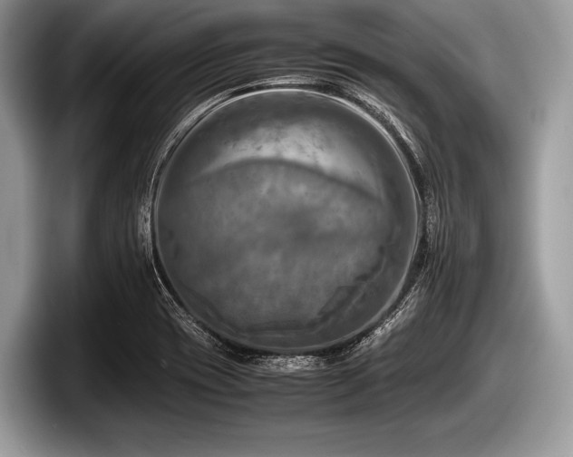 X0000097861417200803211245