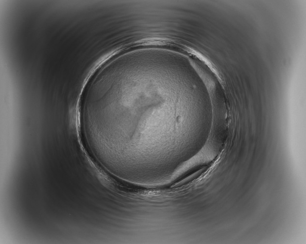 X0000097861418200803211245