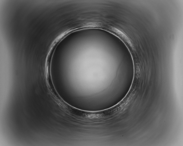 X0000097861419200803211245