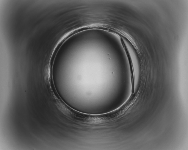 X0000097861420200803211245