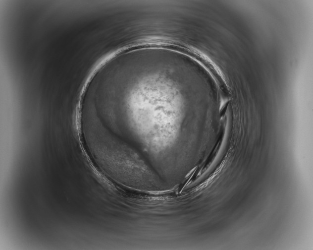 X0000097861421200803211245