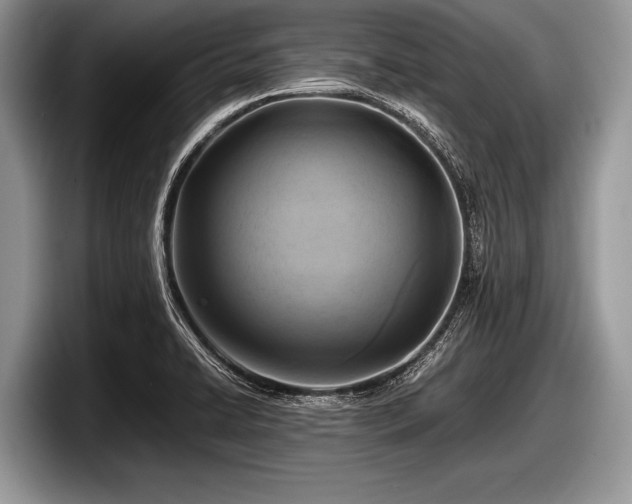 X0000097861422200803211245