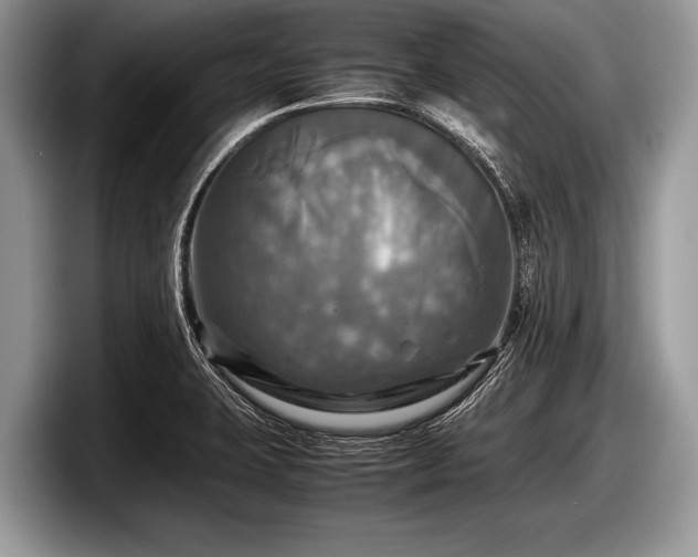 X0000097861423200803211245