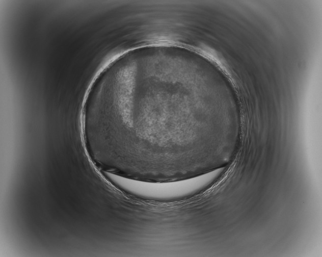 X0000097861424200803211245