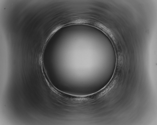 X0000097861425200803211245