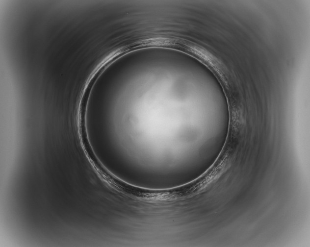 X0000097861426200803211245