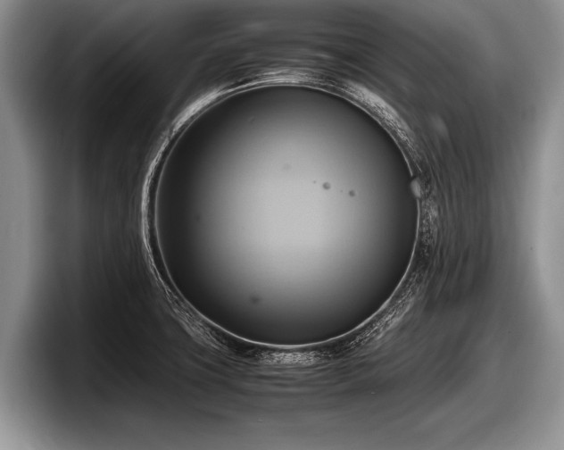 X0000097861427200803211245