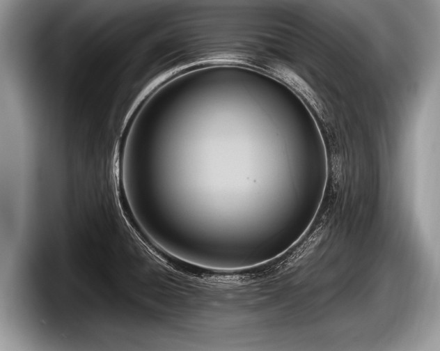 X0000097861428200803211245