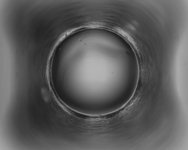 X0000097861429200803211245