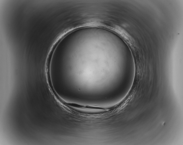 X0000097861430200803211245