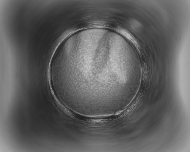X0000097861431200803211245