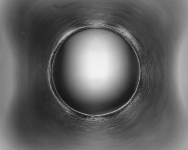 X0000097861432200803211245