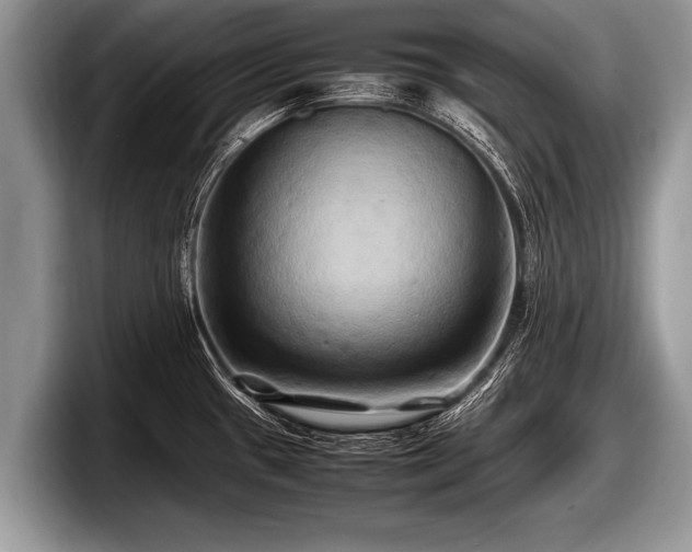 X0000097861433200803211245