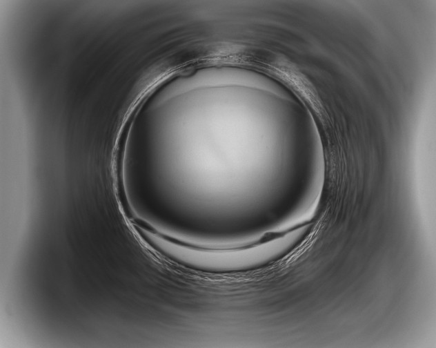 X0000097861434200803211245