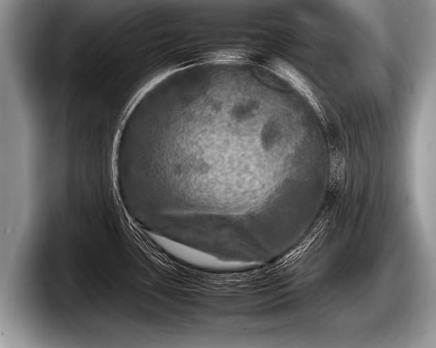 X0000097861435200803211245