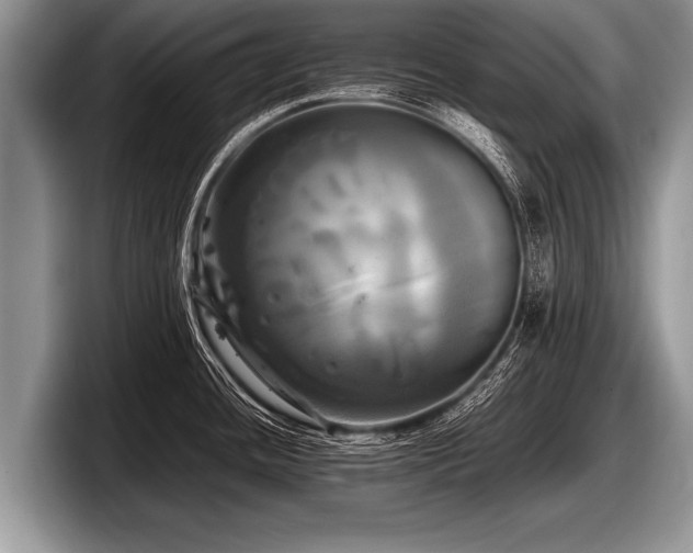 X0000097861436200803211245