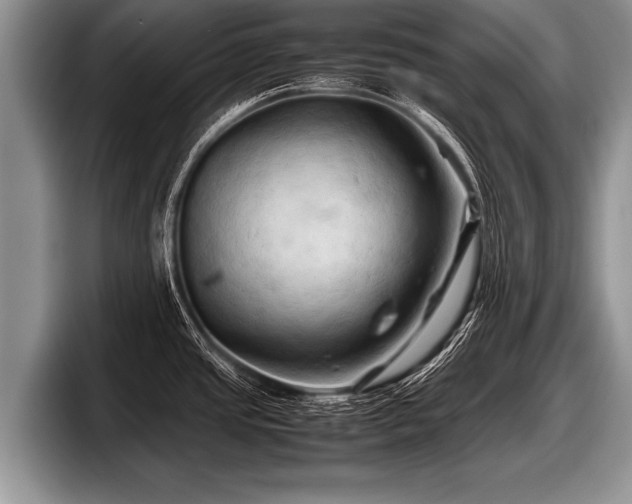 X0000097861437200803211245