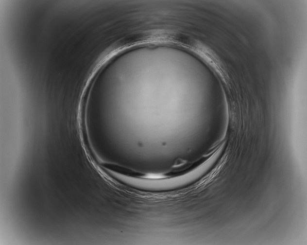 X0000097861438200803211245