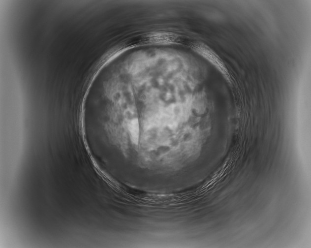 X0000097861439200803211245