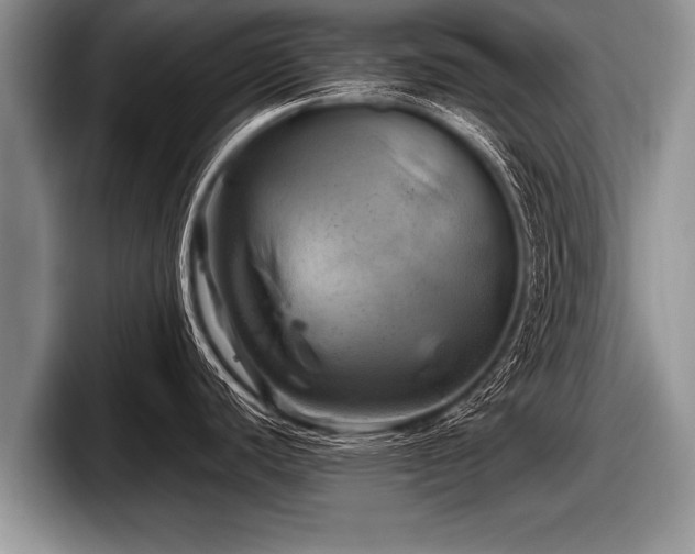 X0000097861440200803211245