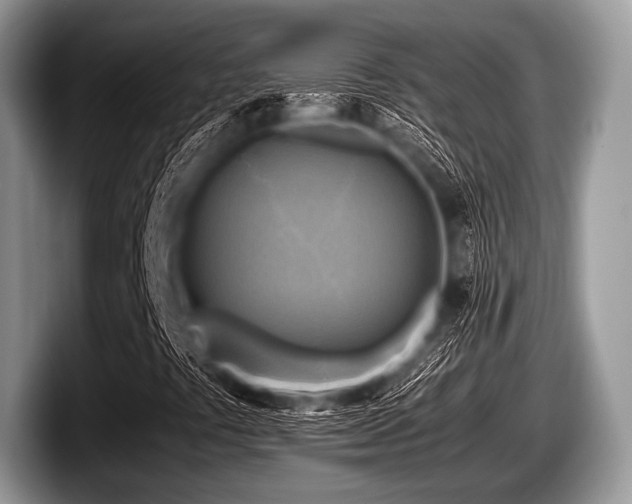 X0000097861441200803211245