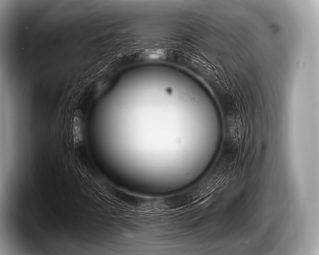 X0000097861442200803211245